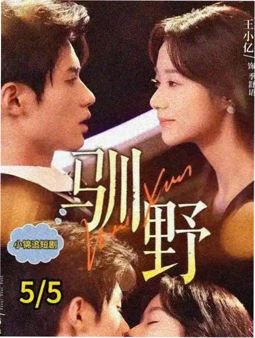 信号Signal 电视剧 2024